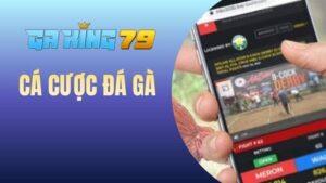 Cá cược đá gà tại GAKING79