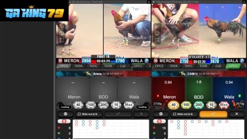 Giao diện cá cược đá gà trực tuyến tại GAKING79