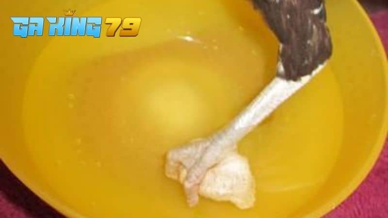 Cách điều trị gà khi bị ké chậu bằng vôi và mật ong