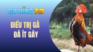 Điều Trị Gà Đá Ít Gáy
