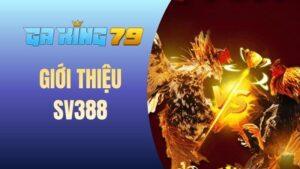 Giới thiệu về SV388