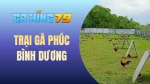 Trại Gà Phúc Bình Dương