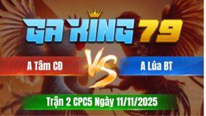 Trận 2 CPC5 Ngày 11/11/2025 - Xanh tránh né táng lại cây cần tính tiền