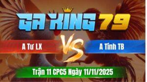 Trận 11 CPC5 Ngày 11/11/2025 - Vô vách bướm đá cây nách camelo ói cơm