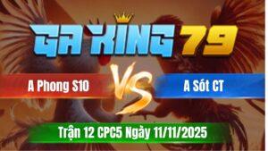 Trận 12 CPC5 Ngày 11/11/2025 - Điều tạt cánh đánh đầu úa hư hình hết cú