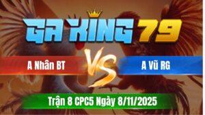 Trận 8 CPC5 Ngày 08/11/2025 - Đỏ Đá Bo Khủng Xanh Gục Sau 2 Tay Nước