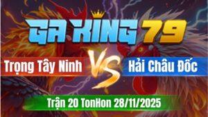 Trận 20 TonHon 28/11/2025 - Gà Anh Hải Châu Đốc Đá Ngay Ông Địa