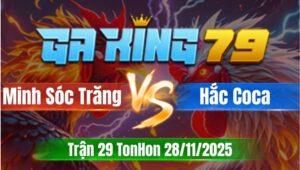 Trận 29 TonHon 28/11/2025 - Anh Minh Sóc Trăng Và Anh Hắc Coca