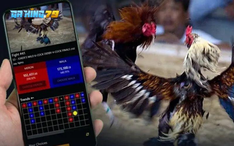 Các pha ra đòn, né tránh đều được phát sóng với hình ảnh sắc nét Các pha ra đòn, né tránh đều được phát sóng với hình ảnh sắc nét