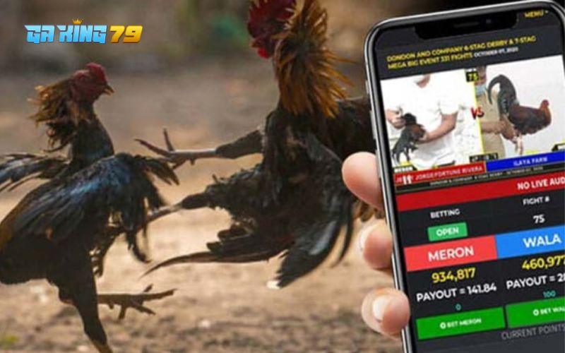 Trực Tiếp Đá Gà cập nhật kết quả nhanh chóng trên bảng kết quả điện tử Trực Tiếp Đá Gà cập nhật kết quả nhanh chóng trên bảng kết quả điện tử