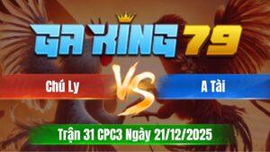 Trận 31 CPC3 Ngày 21/12/2025 - Bướm đá que lấy tiền mua xe