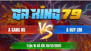 Trận 10 Xà Xía 28/12/2025