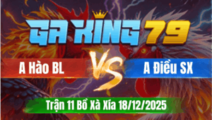 Trận 11 Bồ Xà Xía 18/12/2025 - Gà Anh Điều S. Xoài Có Chân Cựa Chí Mạng