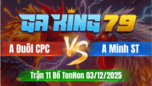 Trận 11 TonHon 03/12/2025 - Gà Anh Đuôl CPC Có Chân Cựa Chí Mạng