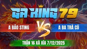 Trận 16 Xà Xía 7/12/2025 - Gà Chuối Đá Cây Chí Tử Hạ Camelo Bảo Sting