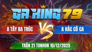 Trận 21 TonHon 10/12/2025 - Gà Khét Nuối Ói Đá Gà Cú Chạy Ná Thở