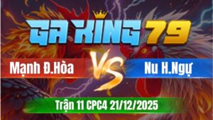 Trận 11 CPC4 Ngày 21/12/2025 - Điều nhỏ mà khéo tránh né chụp cái lên hột