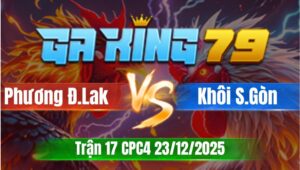 Trận 17 CPC4 Ngày 23/12/2025 - Điều đỏ lụm điều vàng chân ông địa may mắn