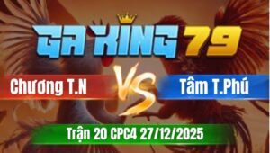 Trận 20 CPC5 Ngày 27/12/2025 - Điều gặp que đá lớp 1 mất luôn chiếc xe