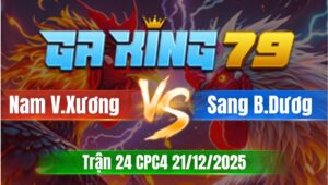 Trận 24 CPC4 Ngày 21/12/2025 - Gà xám tới tang dắt điều đi vòng vòng mà về hông được