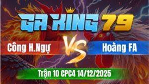 Trận 10 CPC4 Ngày 14/12/2025 - Bướm xanh dắt tang tới cuối cầm lại tang hòa cứng họng