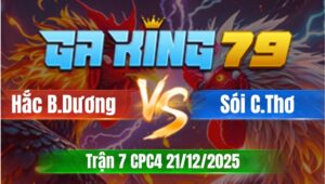 Trận 7 CPC4 Ngày 21/12/2025 - Que chụp vô toàn chỉa lưng với ngực camelo vô khó về