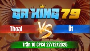 Trận 10 CPC5 Ngày 27/12/2025 - Gà khét hít vô đá lần cặp điều dính cứng tang chìm hư