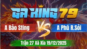 Trận 27 Xà Xía 19/12/2025 - Gà Idol Bảo Sting Đá Nhanh Thắng Gọn