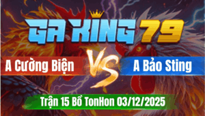 Trận 7 TonHon 03/12/2025 - Idol Bảo Sting Hạ Gọn Anh Cường Biện